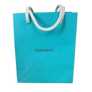 Tiffany & Co. Turquoise Gift Bag with White Handles